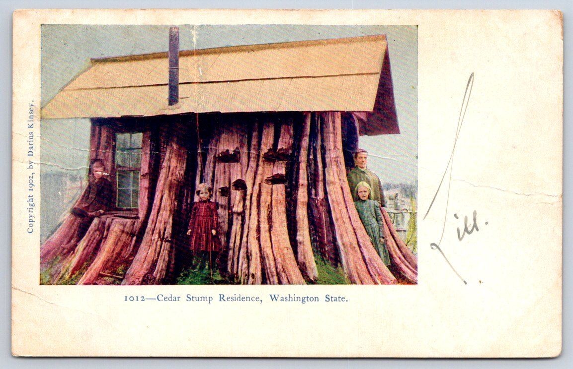 Antique Washington Postcard SEATTLE Cedar Stump Residence 1906