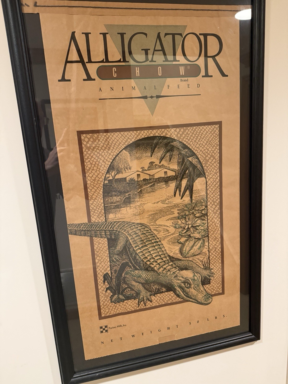 Purina Feeds Gator Chow, Unique, Fun For Gator Haters Or Gator Lovers