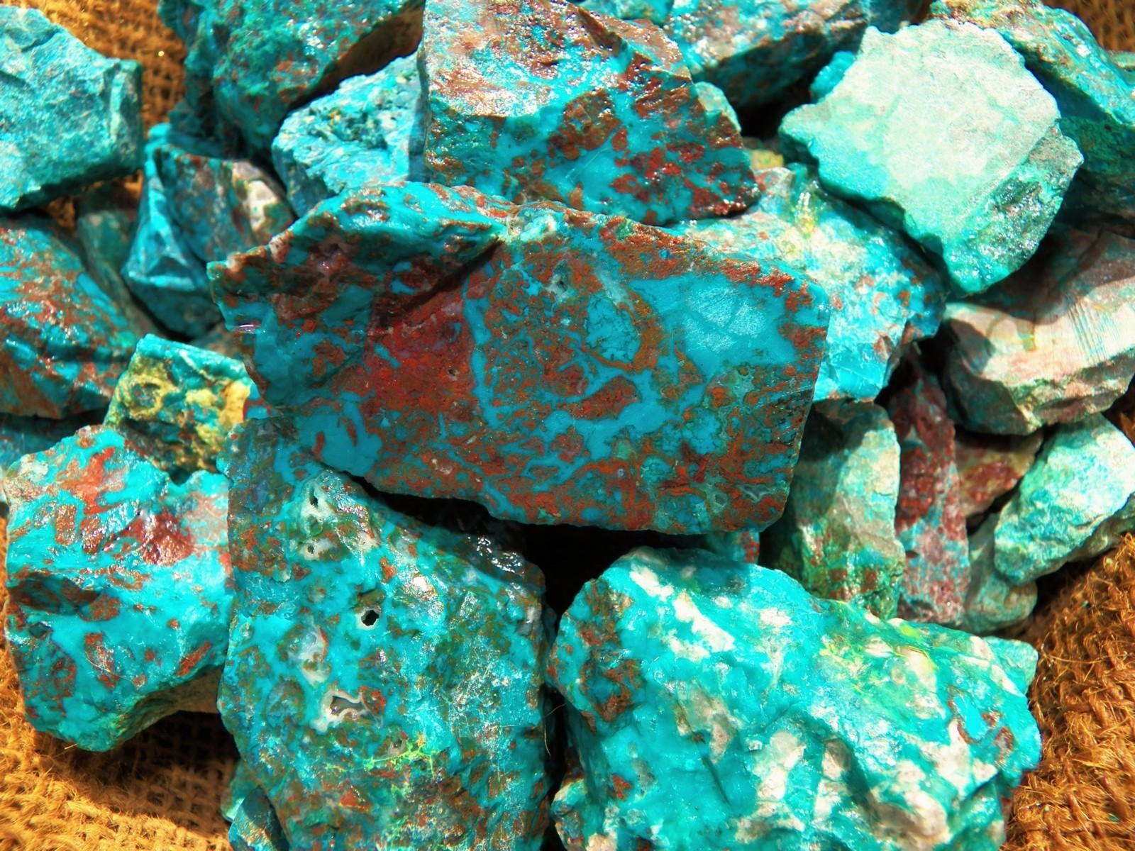 3000 Carat Lots of  Chrysocolla & Turquoise Rough - Plus a FREE Faceted Gemstone
