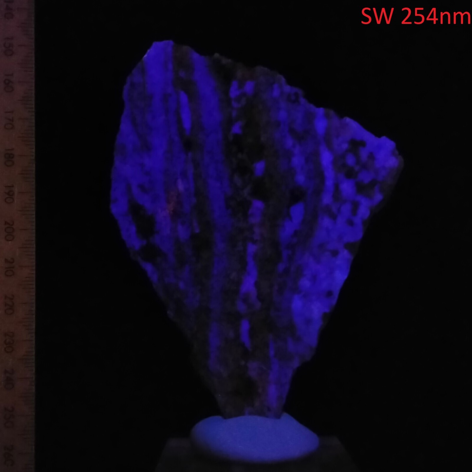 Fluorescent Fluorite w/ Garnet in Albite unpolished thin slab short wave 572ct