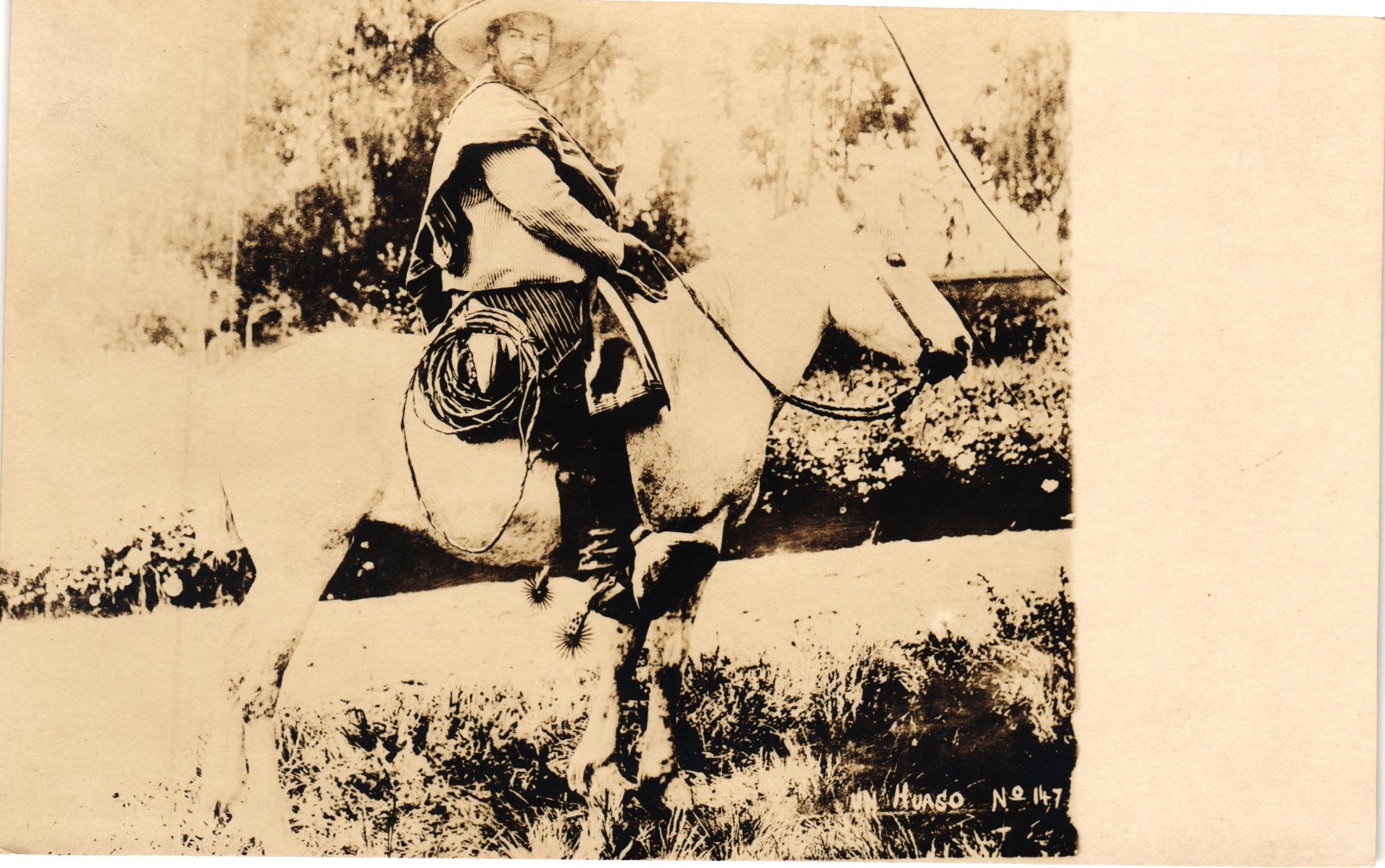 Vintage Chilean Huaso Cowboy Horseback Real Photo Postcard Chile Unused RPPC
