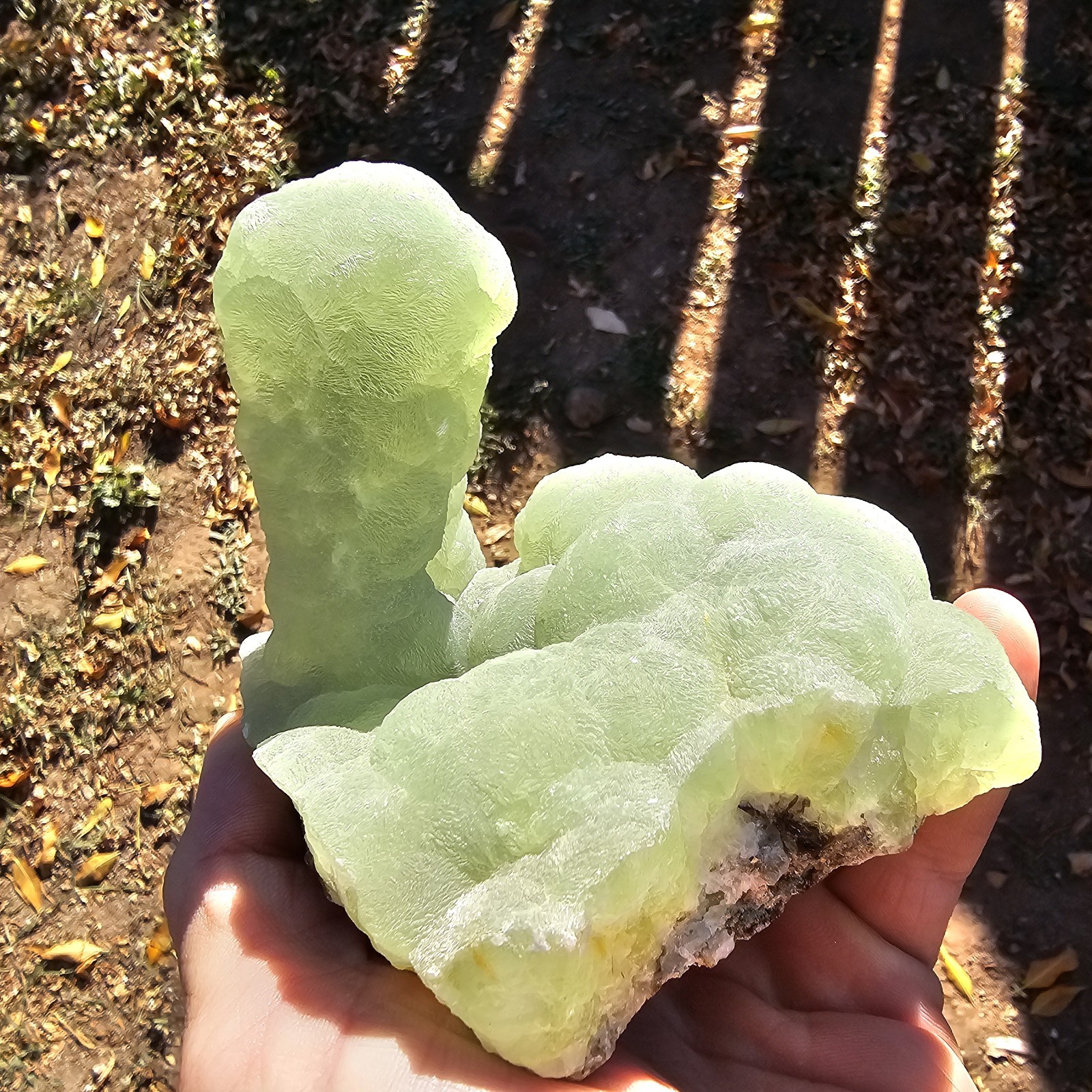 ☆World Class Prehnite Stalactite 