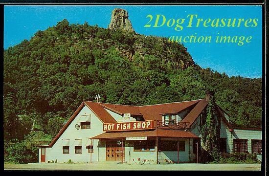 Winona Mn Hot Fish Shop Restaurant Sugar Loaf Hill Old Minnesota Minn Postcard