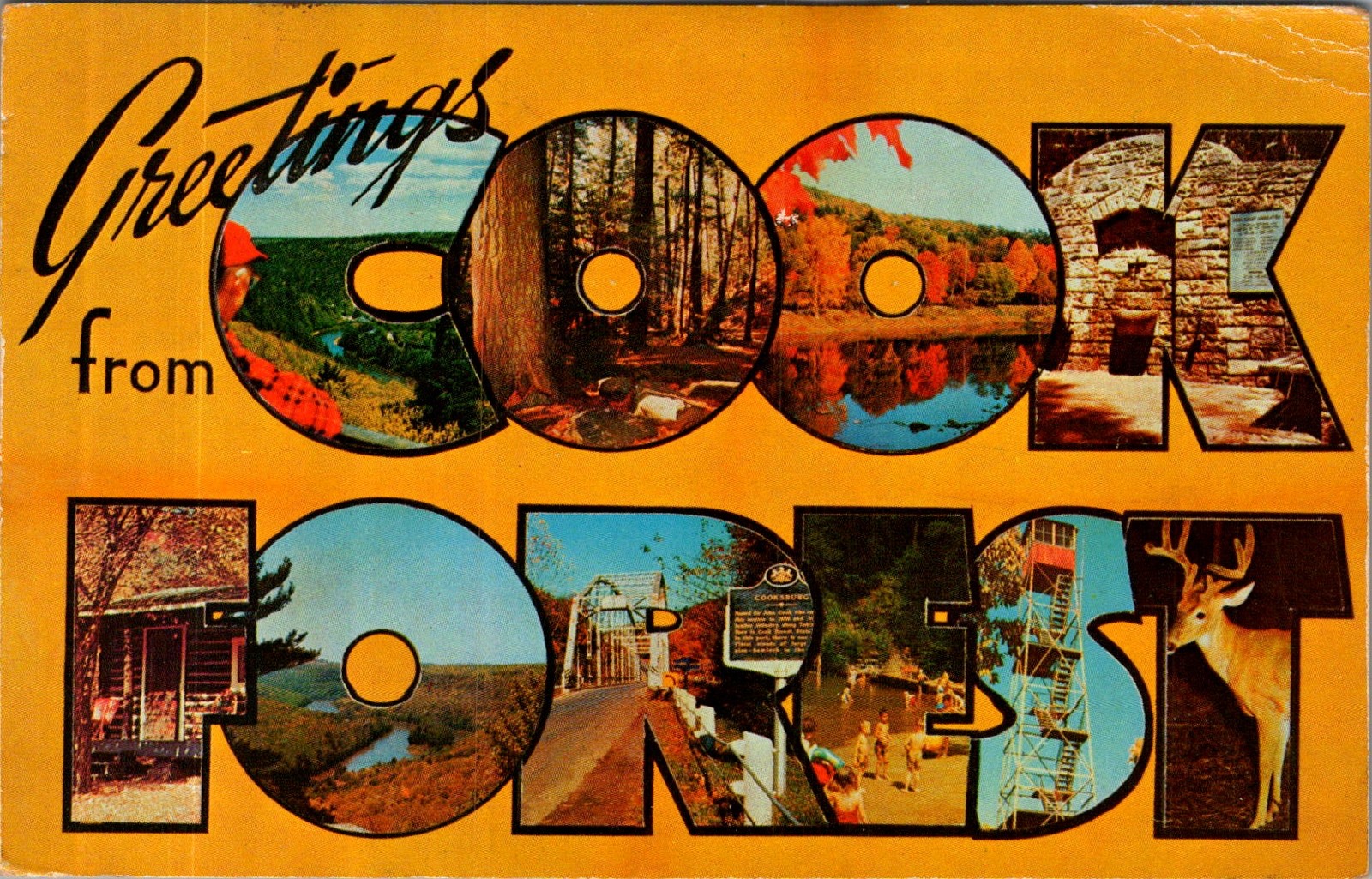 COOK FOREST Large Letter Postcard 1964 Clarion River PA Chrome Era Deer Tower