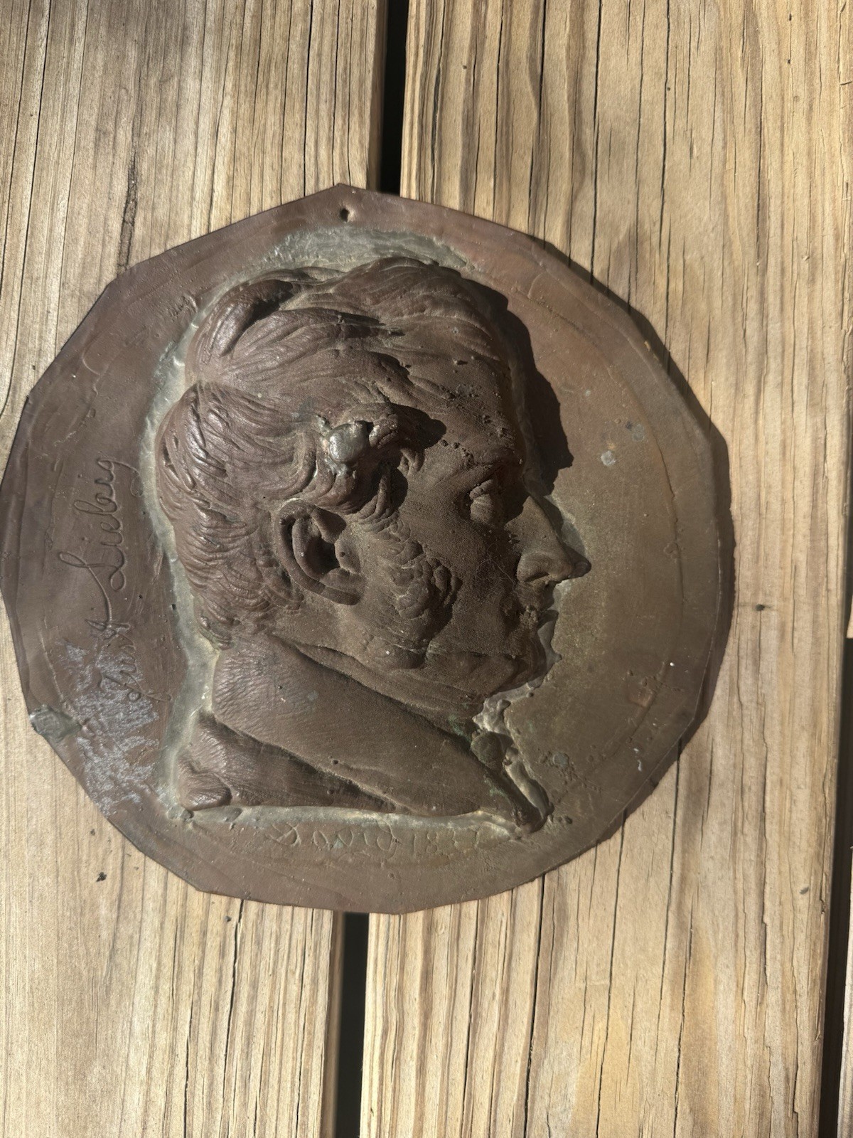 1831 Rare Antique Bronze Portrait Relief of Justus von Liebig — Signed David