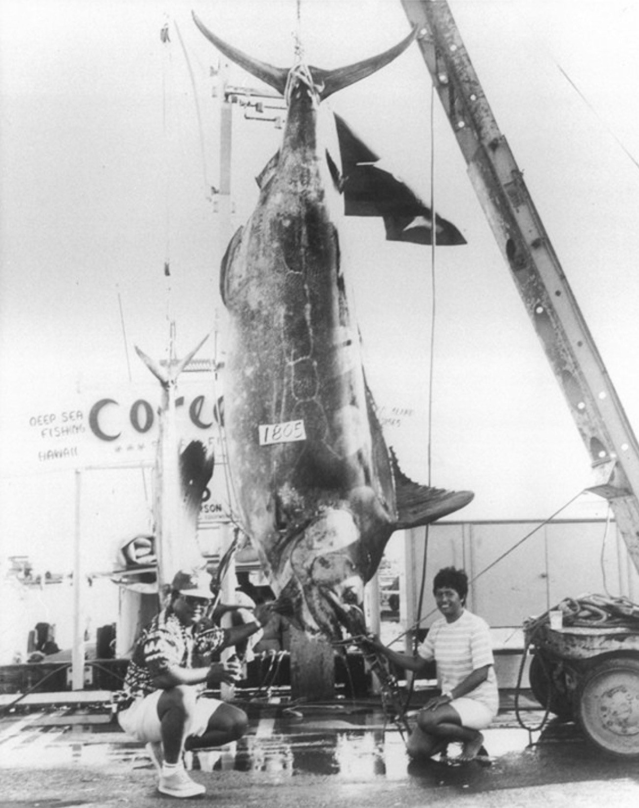 THE MAJESTIC BLUE MARLIN. Fisherman Photo 8.5x11 Paper Lustre THE MAJESTIC BLUE MARLIN. Fisherman Photo 8.5x11 Paper Lustre