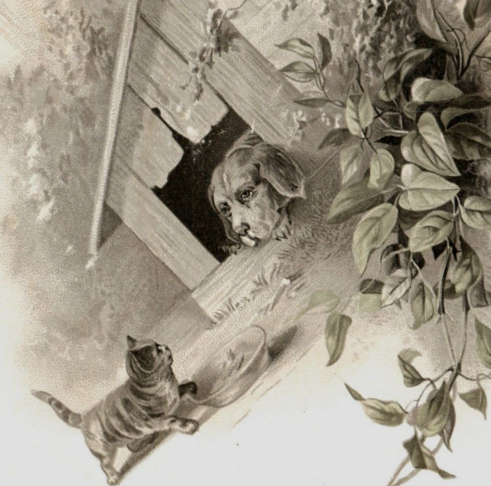 1880s-90s French Cards Animals Cat Dog Puppy Horse Lot Of 4 #7R 1880s-90s French Cards Animals Cat Dog Puppy Horse Lot Of 4 #7R
