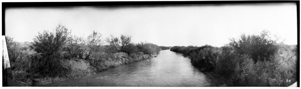 bushes along an irrigation ditch in the Imperial Valley California - Old Photo