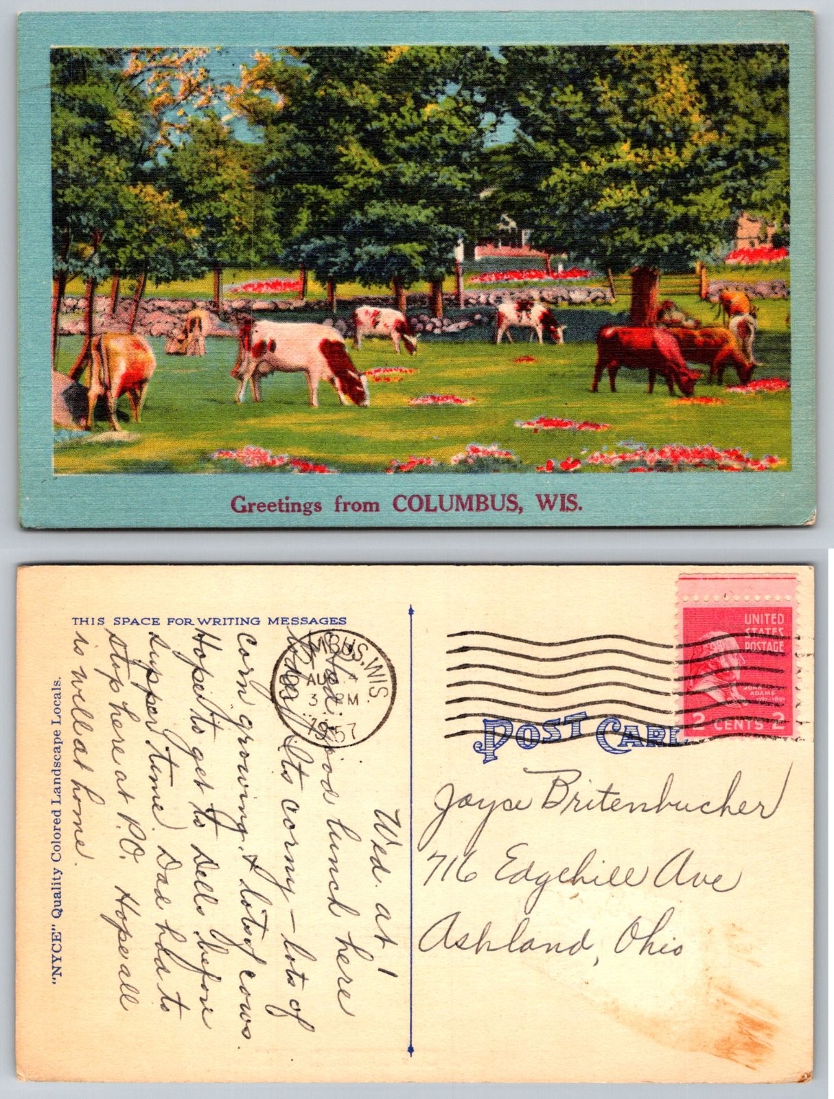 Greetings from Columbus Wisconsin Large Letter Cows Postcard Greetings from Columbus Wisconsin Large Letter Cows Postcard