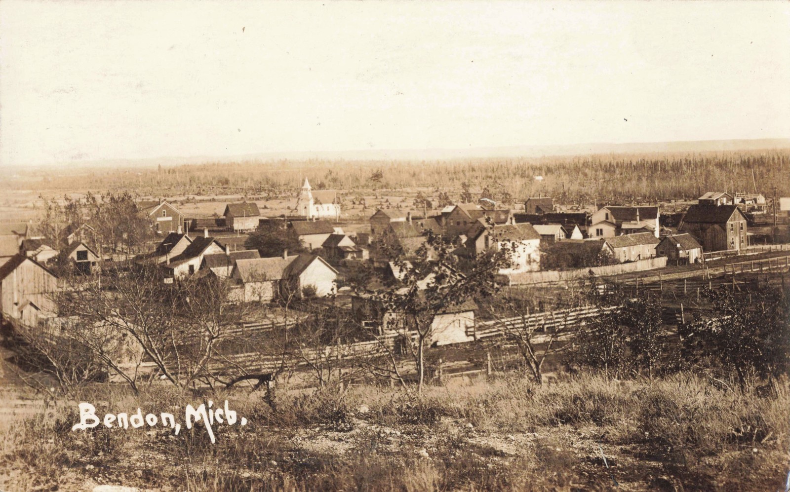 NW Bendon Lake Ann Interlochen MI RPPC 1907 Rare High View of Benzie GHOST TOWN