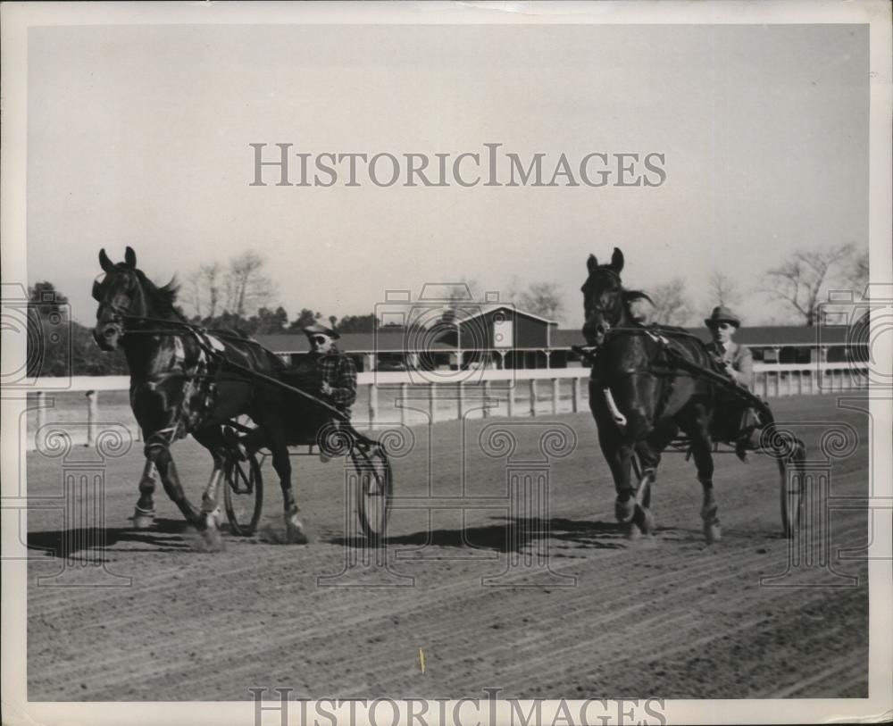 1937 Press Photo Hollywood Audrey works training mile with Bravo in Aiken, SC 1937 Press Photo Hollywood Audrey works training mile with Bravo in Aiken, SC