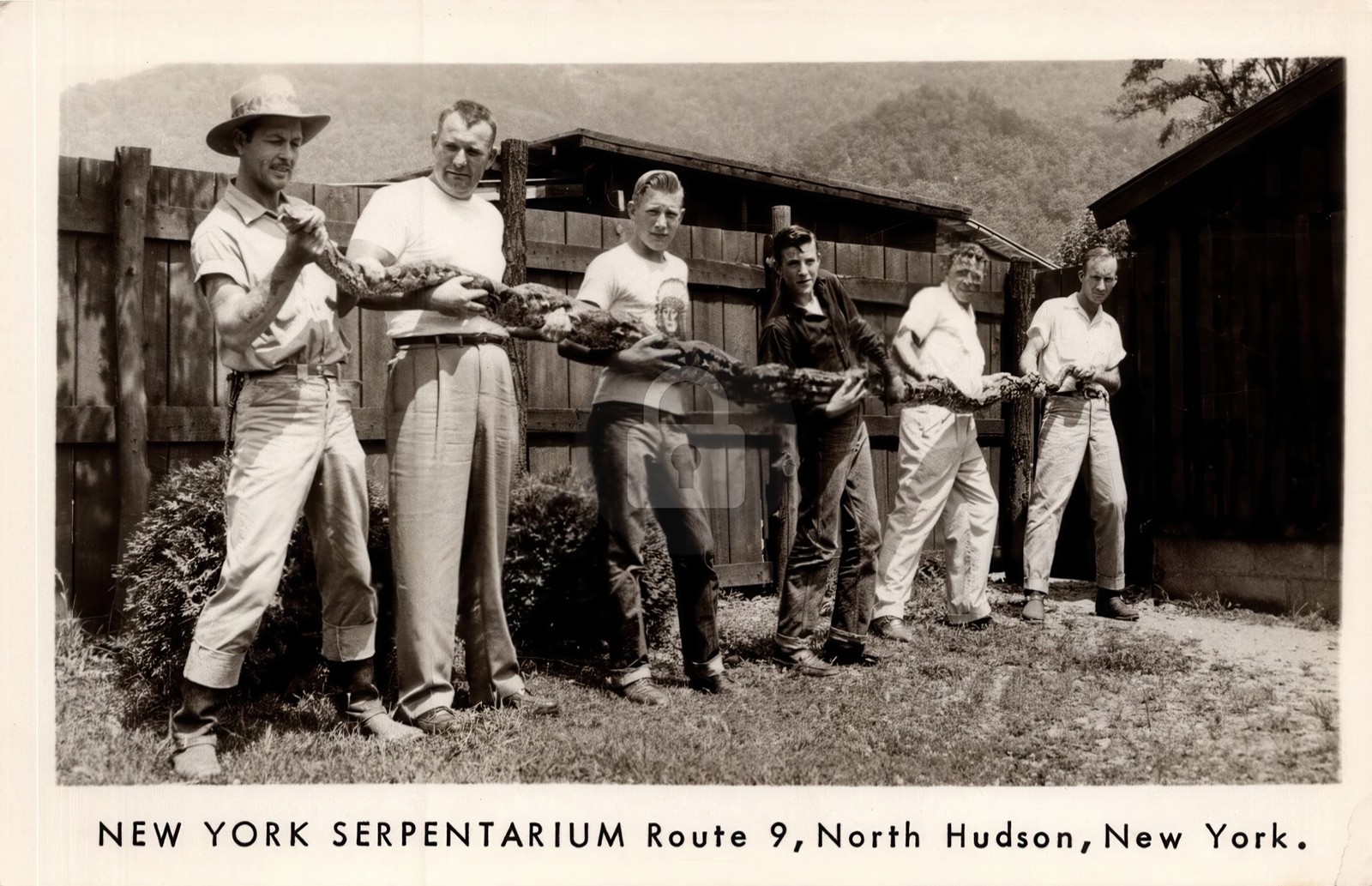 Serpentarium Huge Snake Roadside Attraction North Hudson NY RPPC Photo COPY Serpentarium Huge Snake Roadside Attraction North Hudson NY RPPC Photo COPY