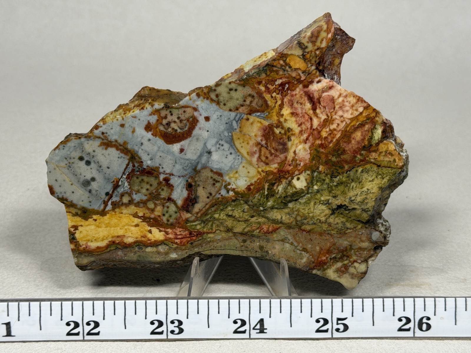 A+ Rocky Butte Picture Jasper Slab, Lot# 843