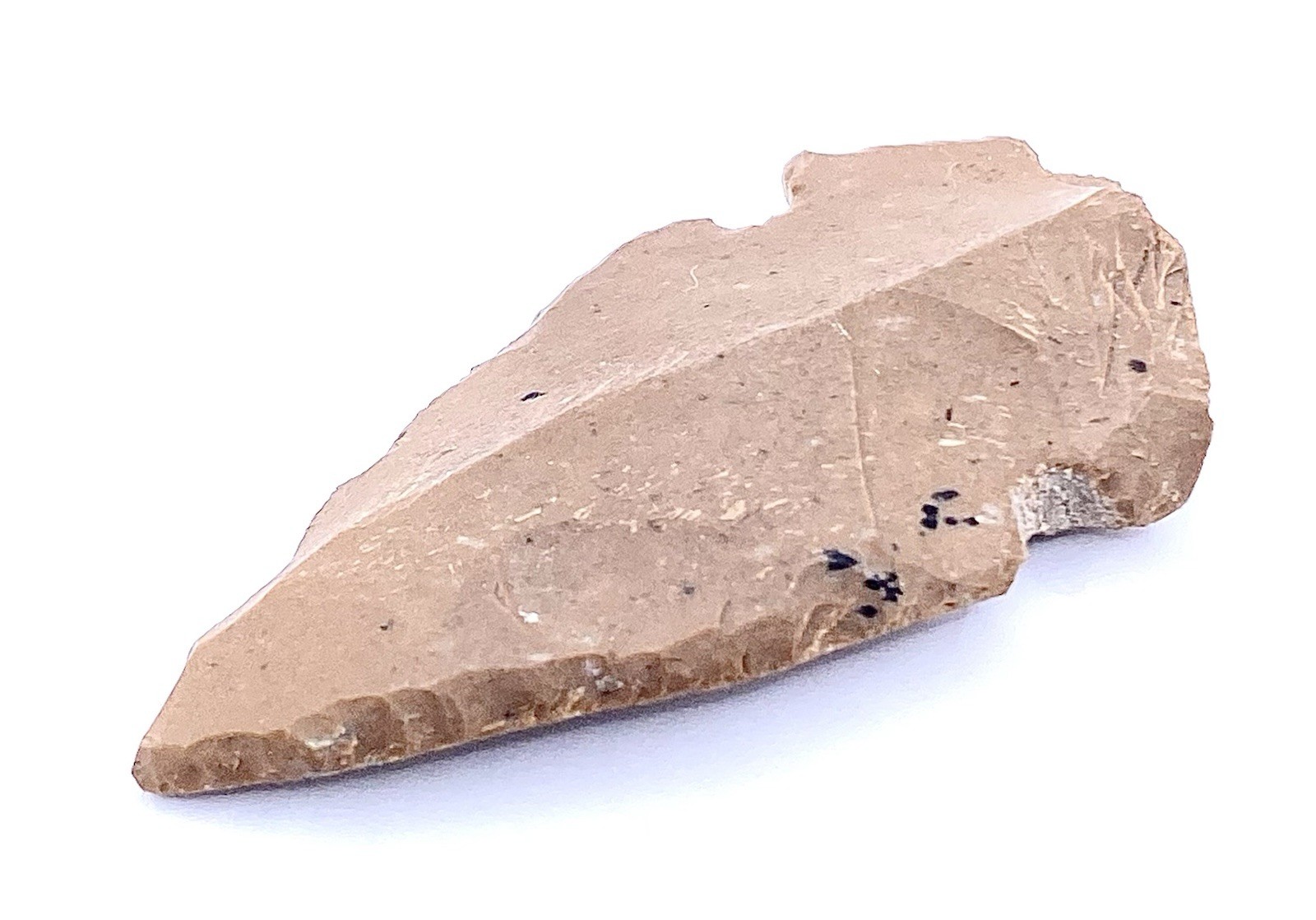 Authentic Native American Indian Arrowhead Artifact Cumberland Kentucky TN 2\