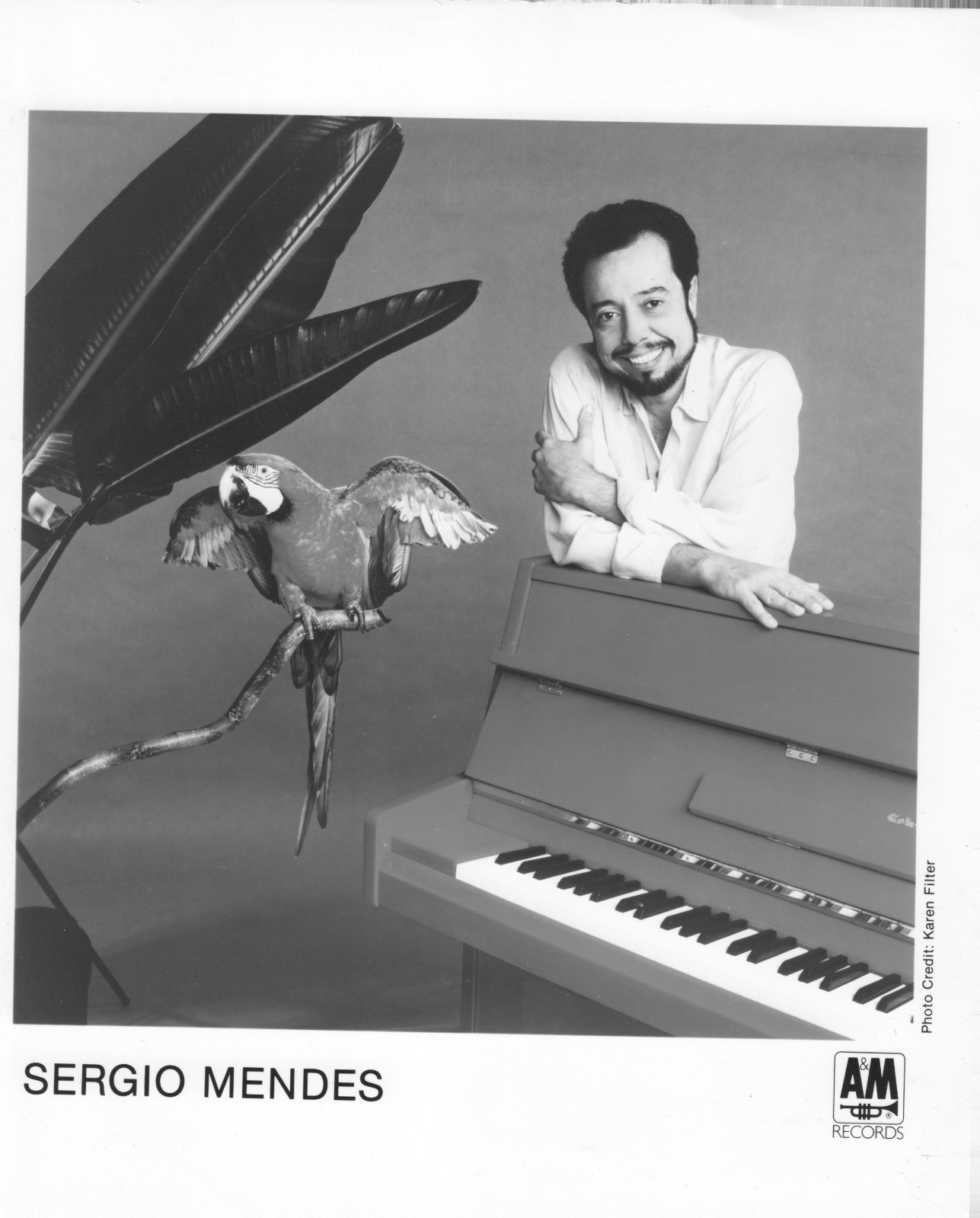 Latin Jazz Bossa Nova SERGIO MENDES B&W 8x10 Publicity PHOTO