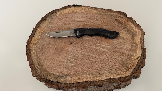 Buck 283USA Nano Bantam Small Folding Pocket Knife Plain Blade Lock back