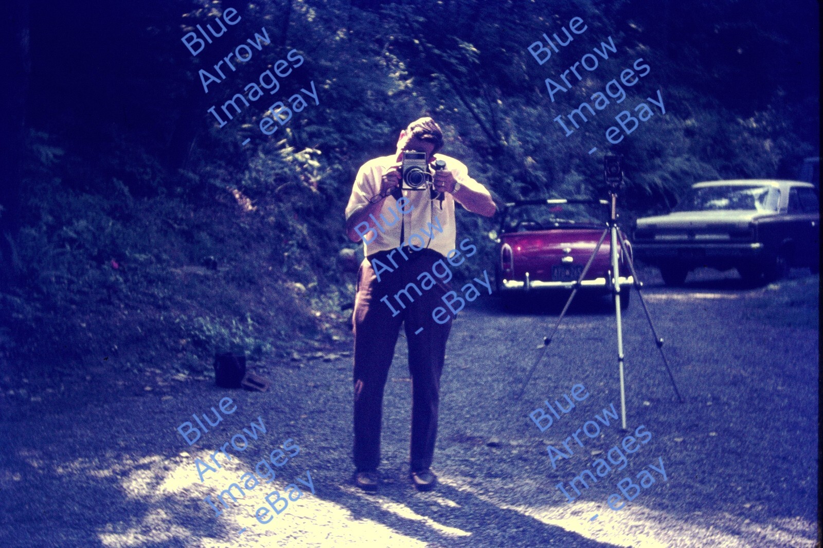 1971 35mm slide Man Photographer with Large Camera Tripod Woods #2011