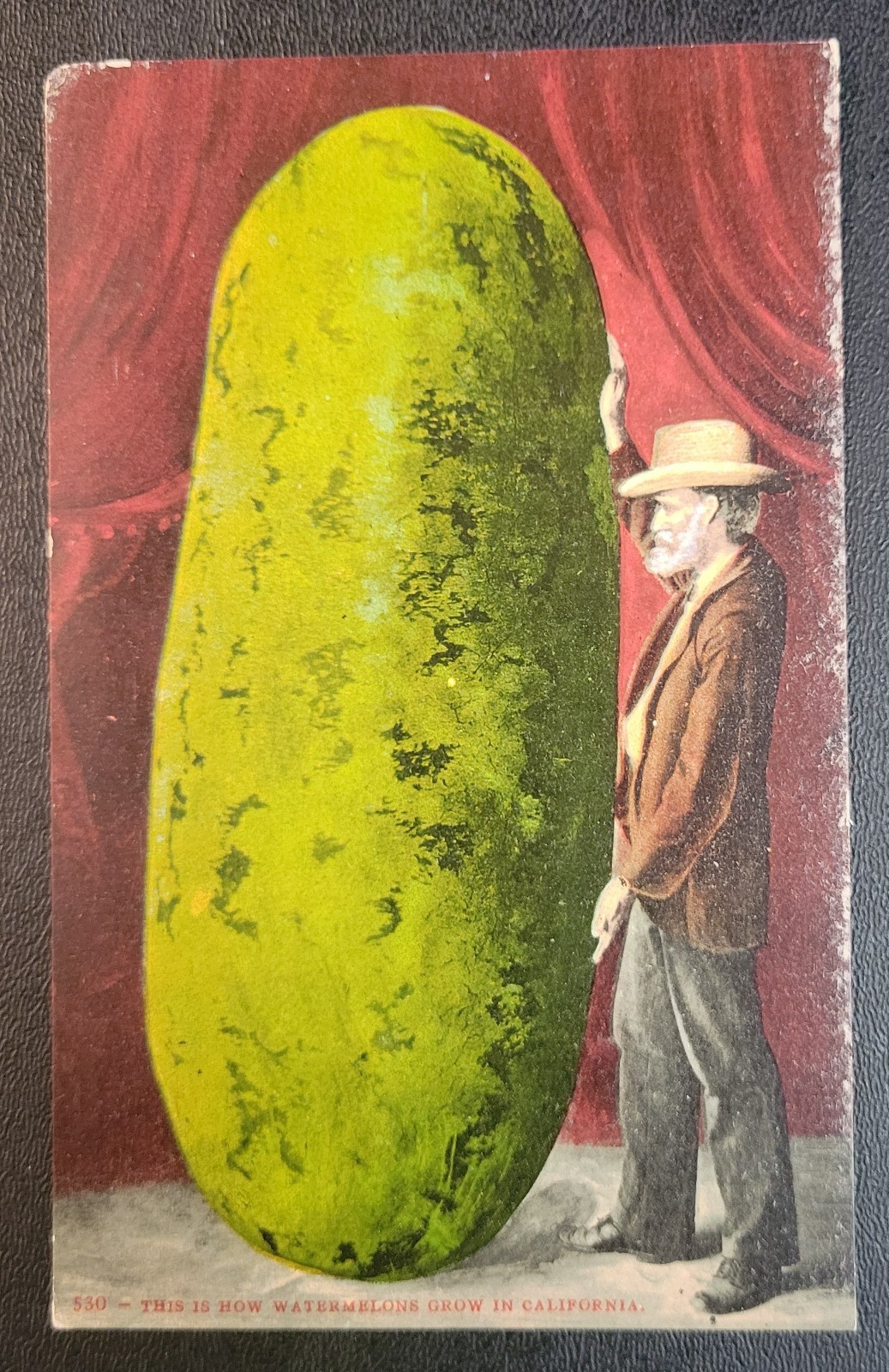 Vintage Postcard - Tall Giant Watermelon - California Vintage Postcard - Tall Giant Watermelon - California