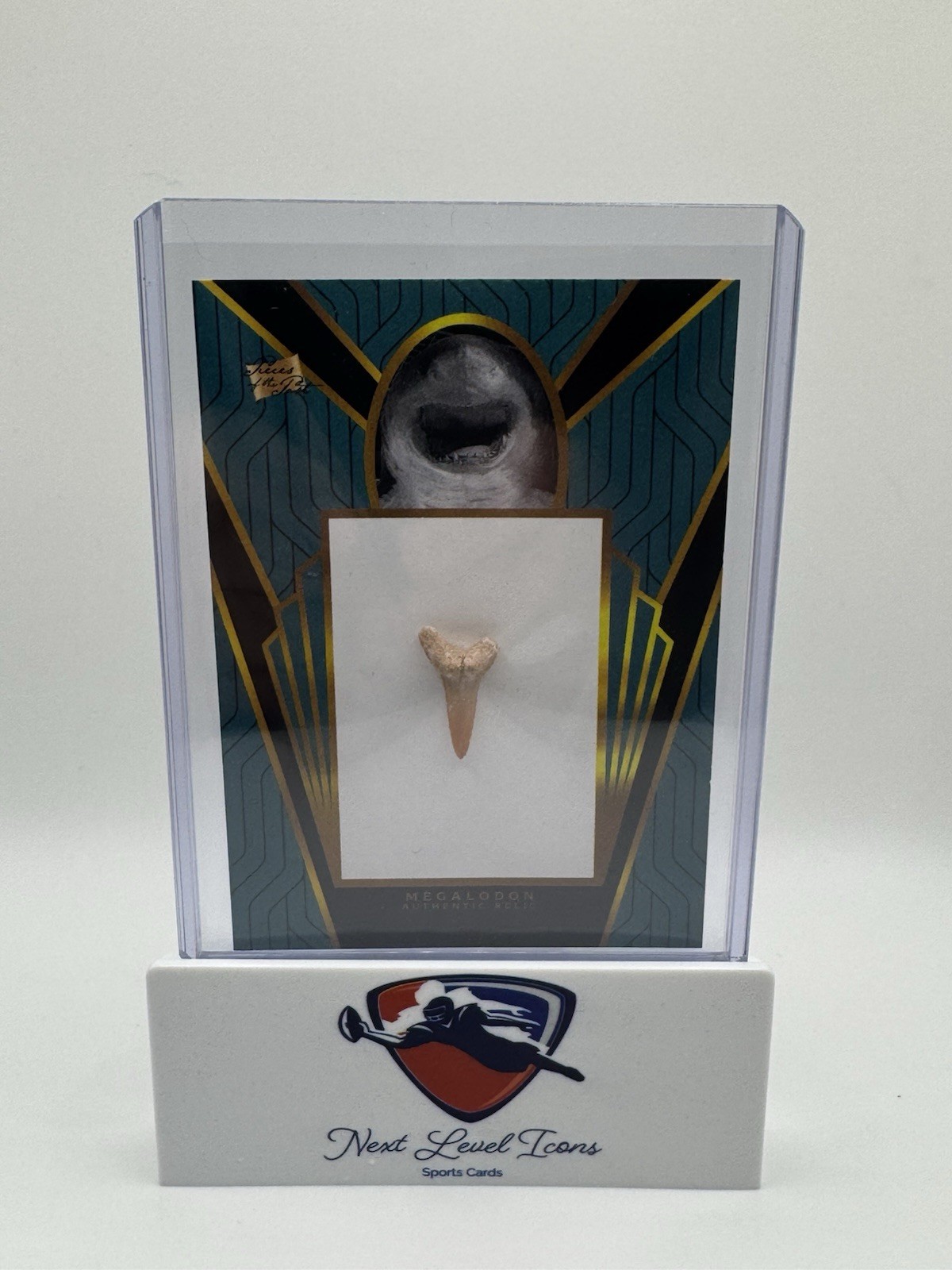2025 Super Products Inc. Fossil Relic Megalodon Tooth Relic Insert FR-ME