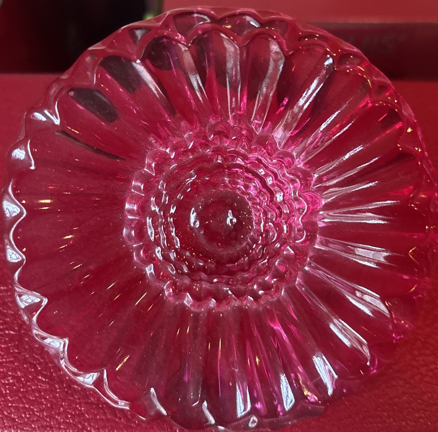 🔮WATERFORD GIFTOLOGY PINK Daisy Paperweight New No Box