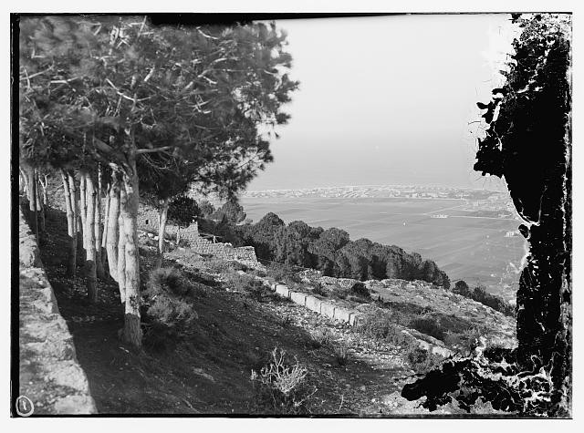 Photo:Haifa Mt Carmel Palestine 1900s View from Mountain