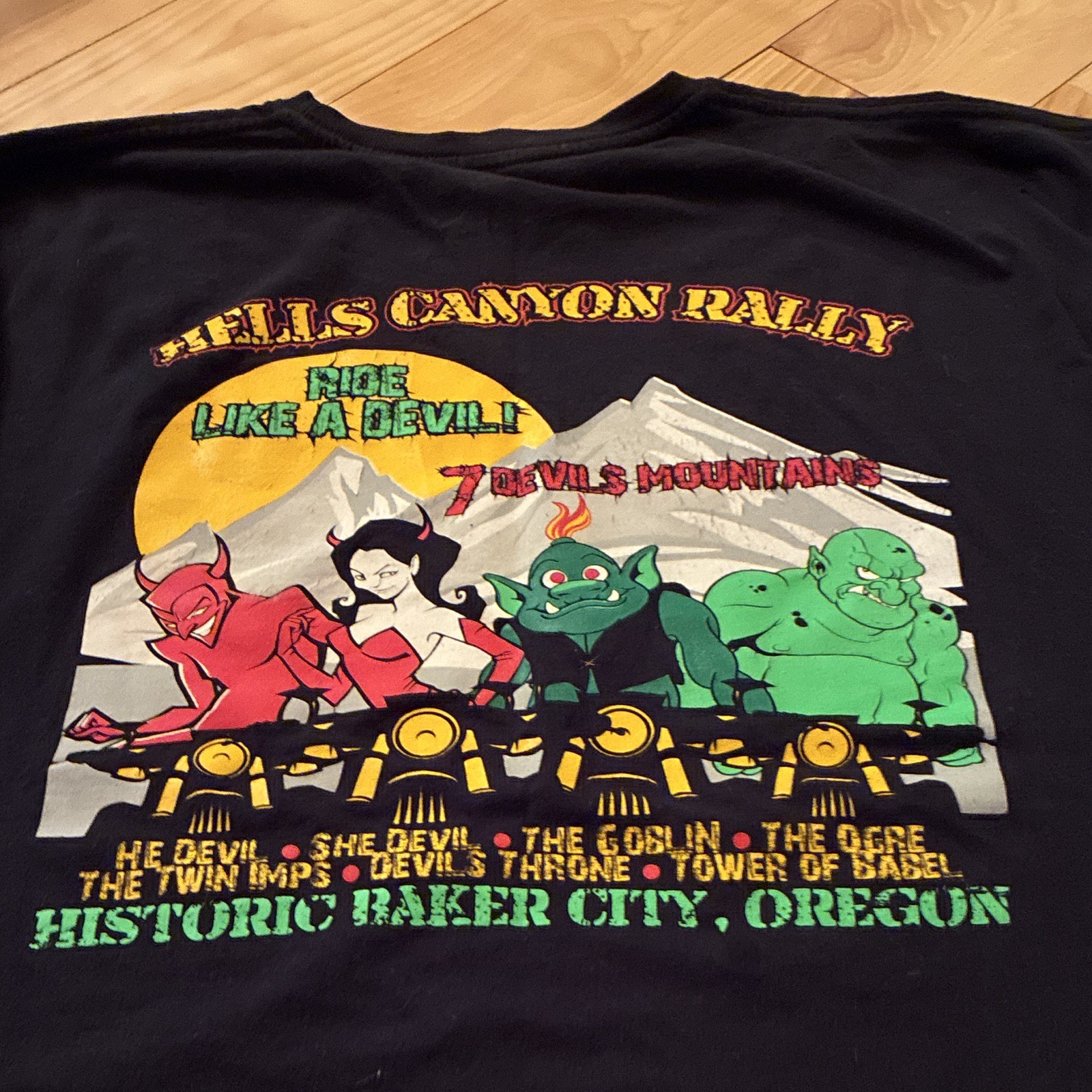Vintage Harley-Davidson Hells Canyon Rally Baker City Oregon Graphic T-Shirt XL