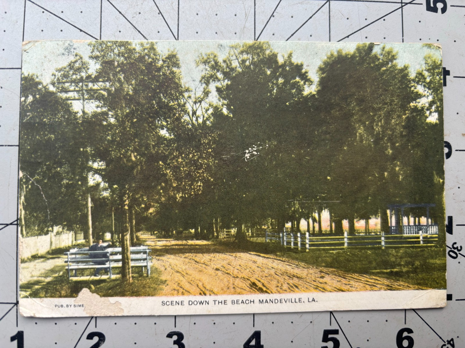 1909 Mandeville LA Scene Down the Beach Postcard Pub by Sime Posted Damaged 1909 Mandeville LA Scene Down the Beach Postcard Pub by Sime Posted Damaged