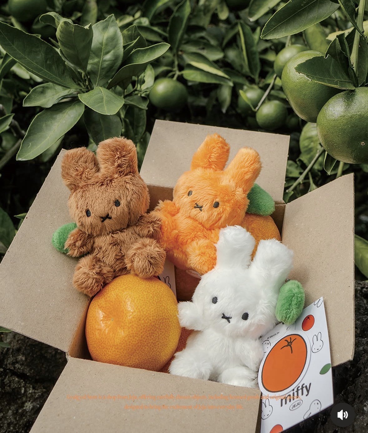 tangerine Miffy Jeju Island Korea Exclusive Limited Ed plush keychain keyring