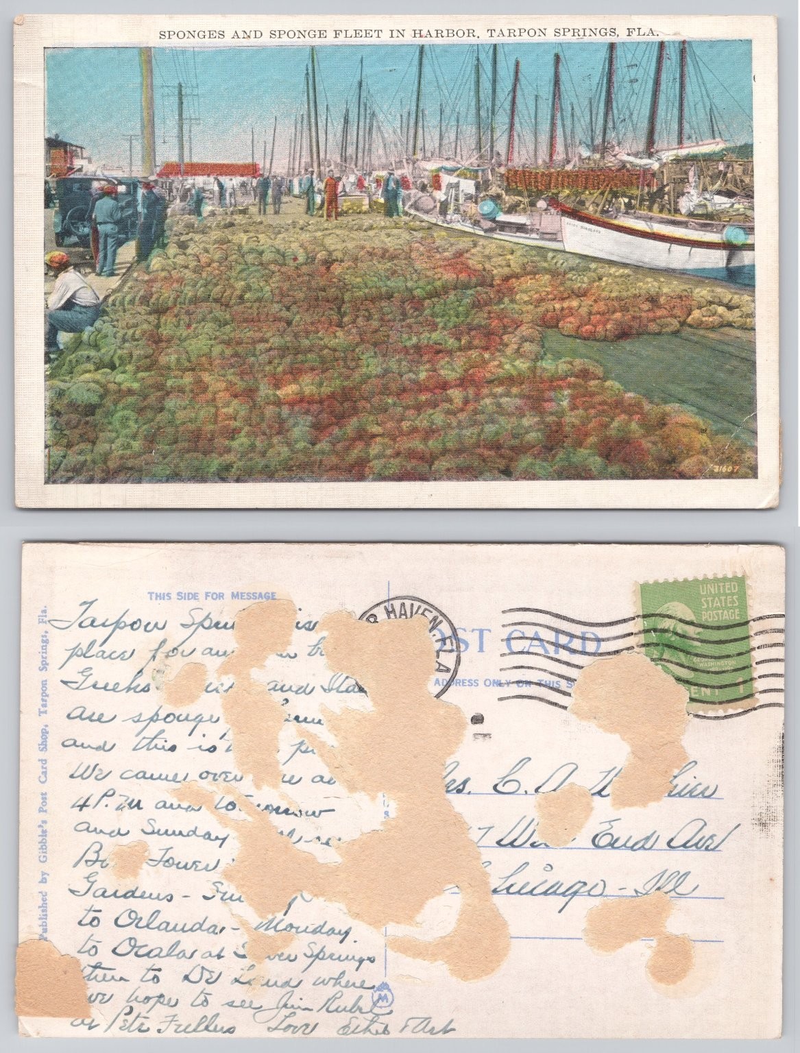 Vintage Tarpon Springs FL Sponge Fleet Harbor Postcard Gibble\'s Posted 1920s-30s