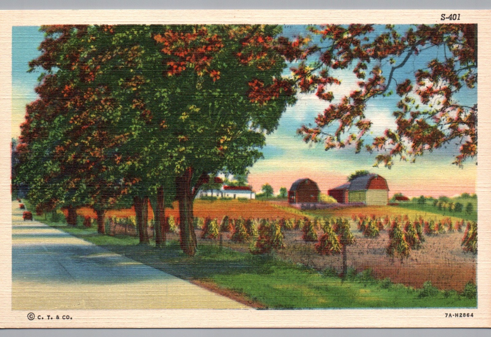 Vintage C.T. Rural Scenes Postcard Unposted Farmhouse Scenic Rustic