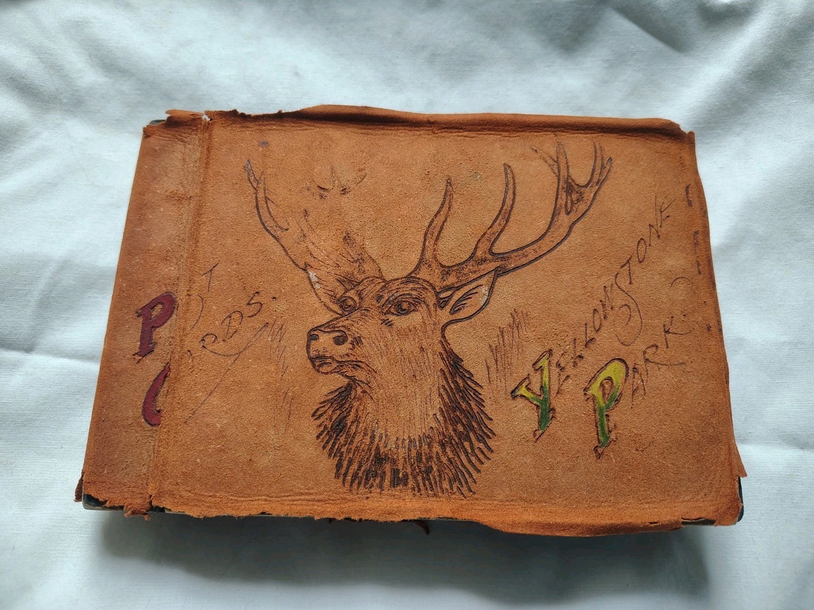 1912 Yellowstone Postcard Album 54 Lot Detroit Publishing Phostint Haynes PM