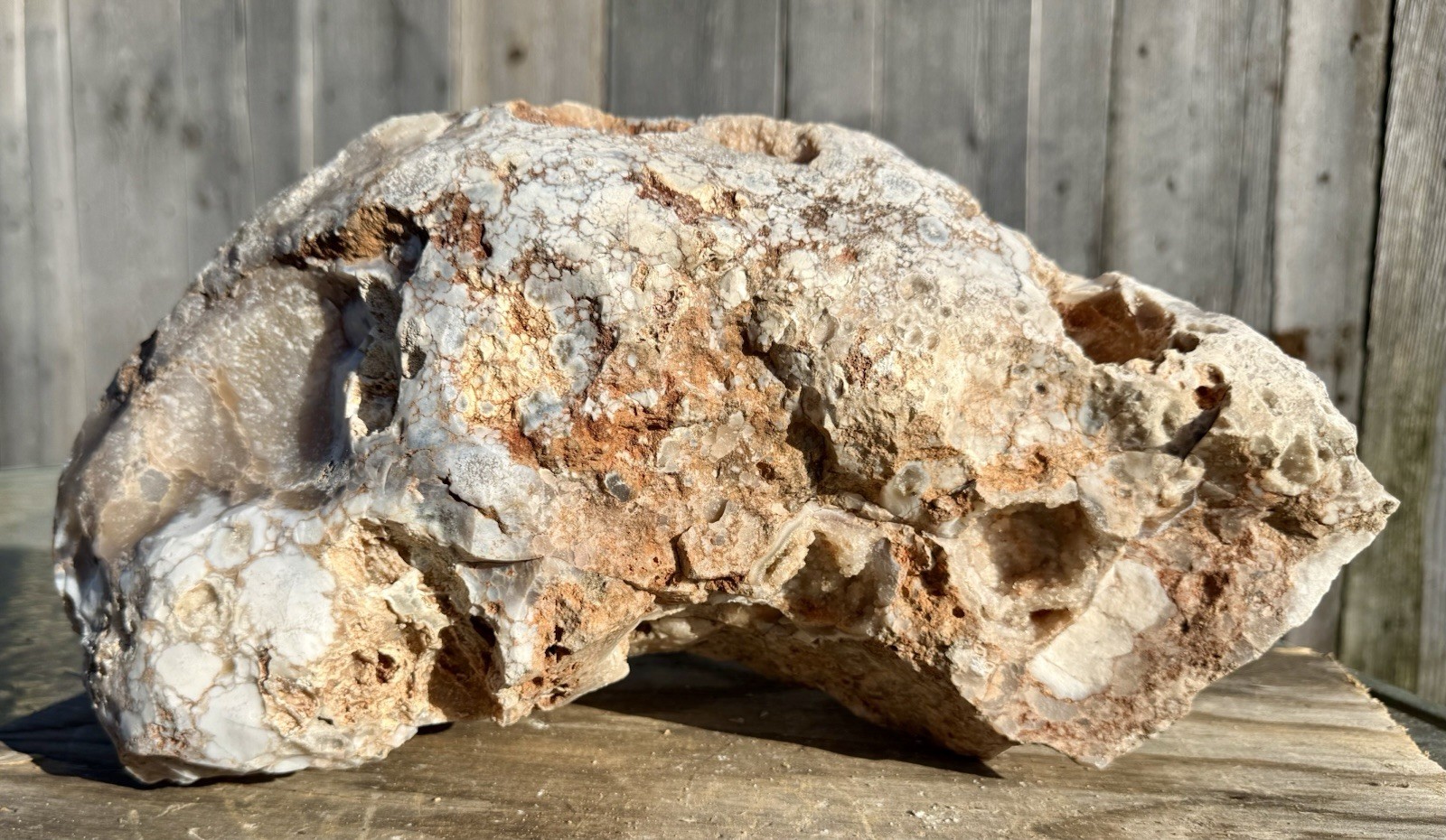 PRISTINE* 23# Huge Chalcedony Agate Boulder~Great Shape/Color/Patterns~Rare Find