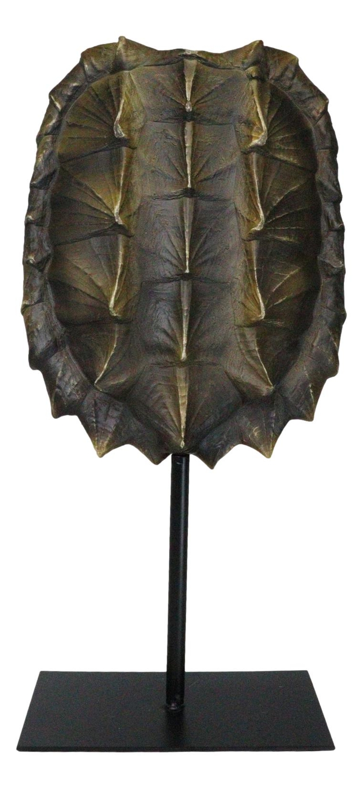 Ebros Large Alligator Snapping Turtle Shell Sculpture On Metal Mount 20.5\