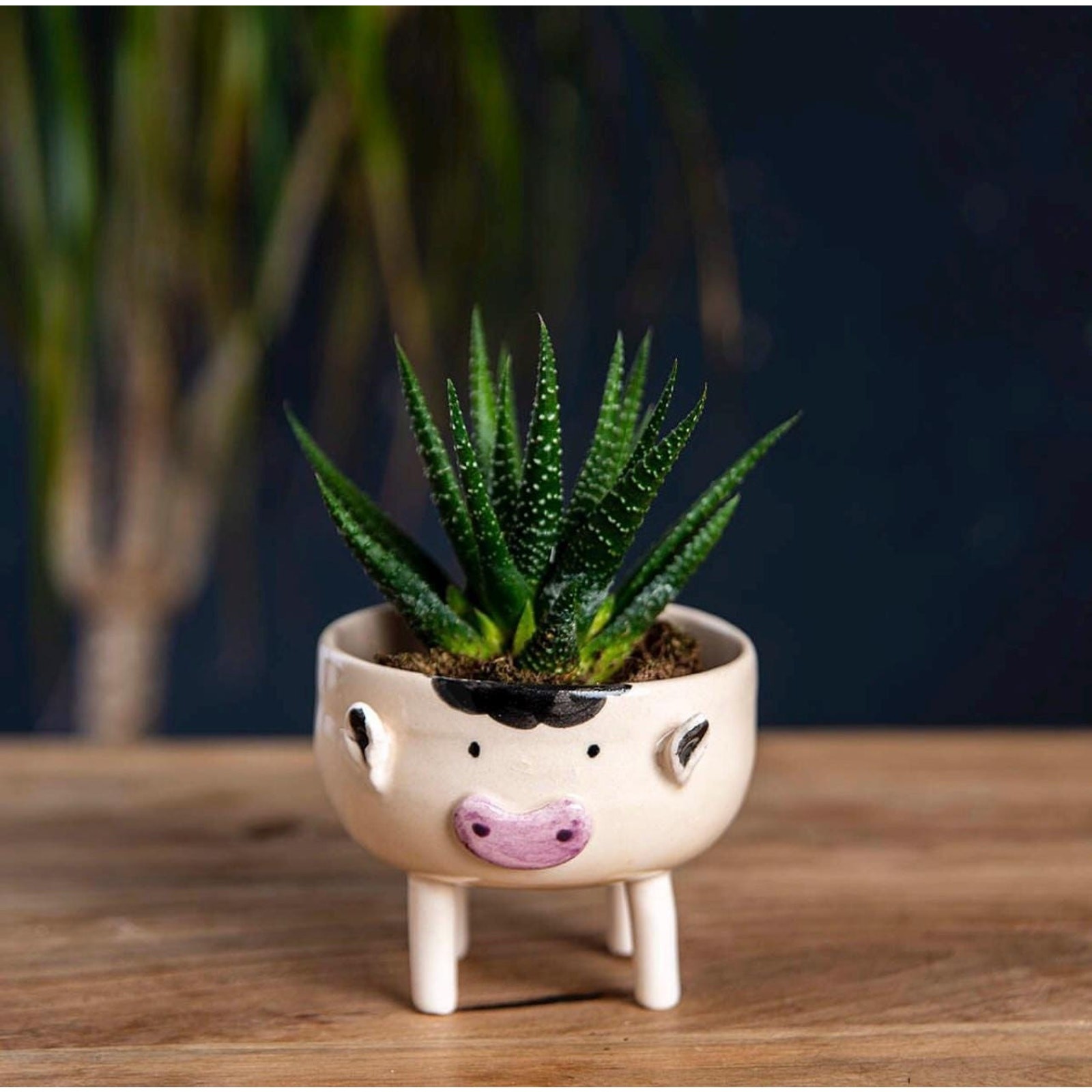 Handmade Ceramic Cow Planter, Farmhouse Succulent Pot, Mini Animal Vase