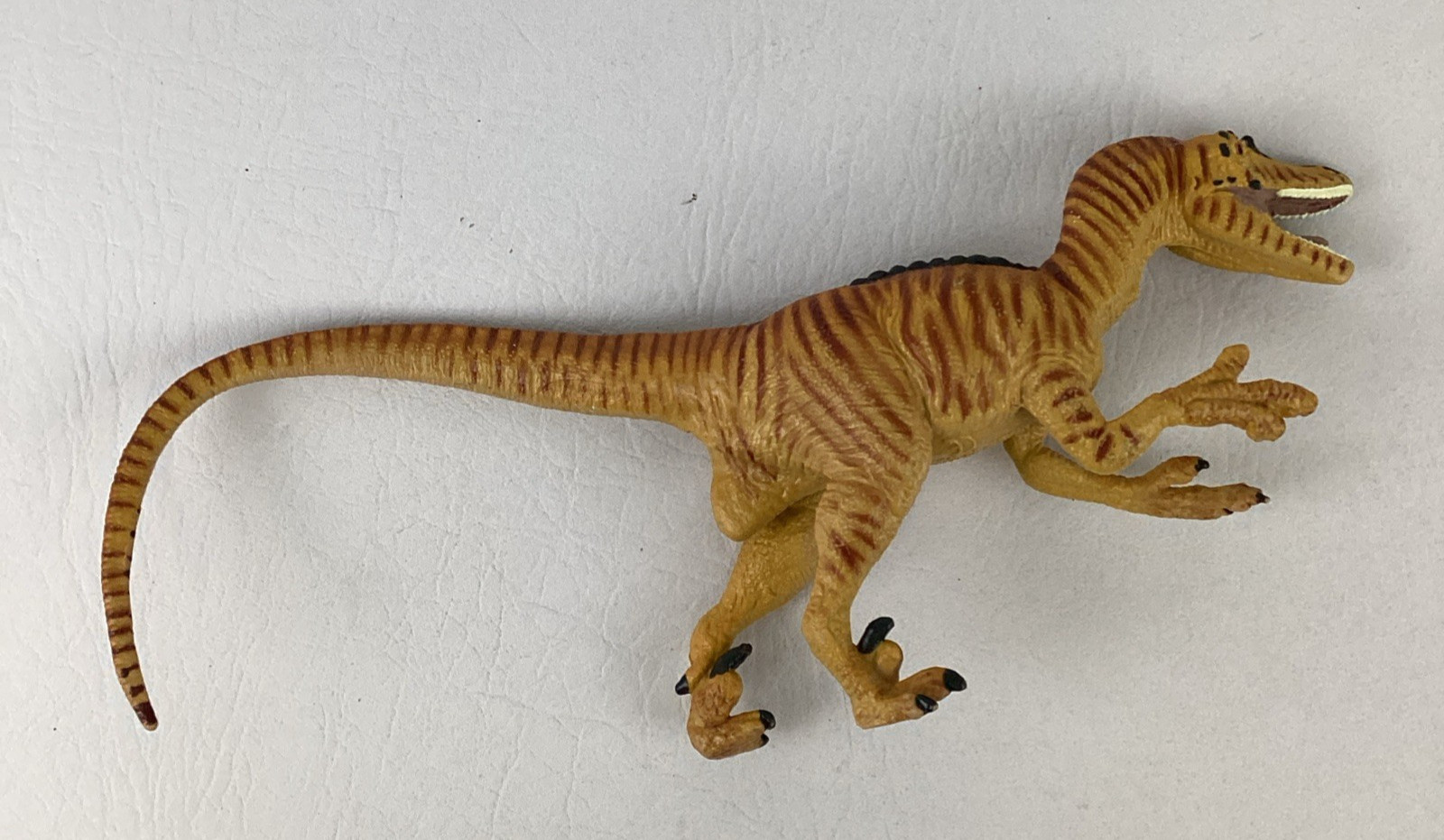 Safari Ltd. Velociraptor Plastic Toy Dinosaur 10