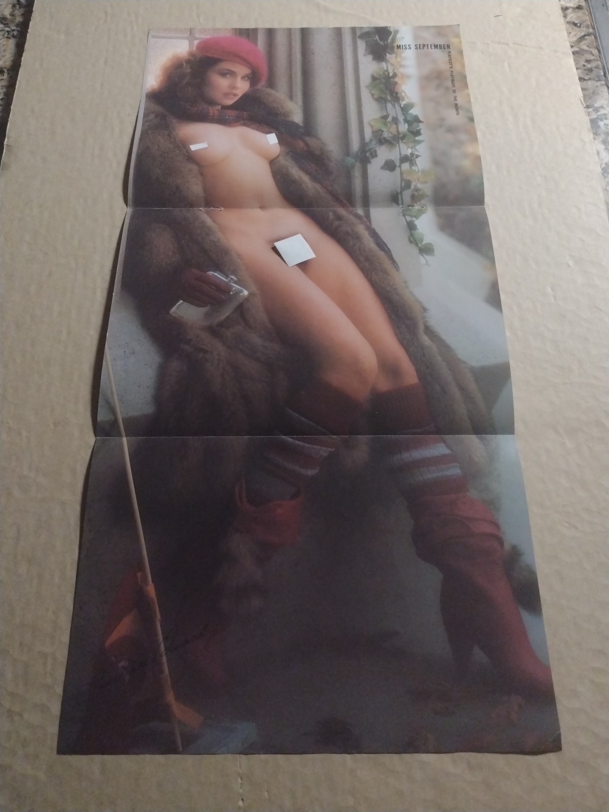1983-Playboy Magazine Playmate Of The Month-Centerfold Pinup-Miss September-VTG 1983-Playboy Magazine Playmate Of The Month-Centerfold Pinup-Miss September-VTG