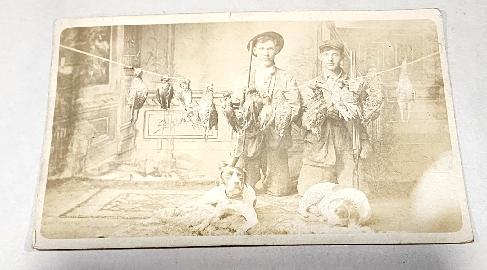 Antique RPPC Photo Quail Hunting Shotgun Dog Pointer Game Bird Postcard AZO 1904