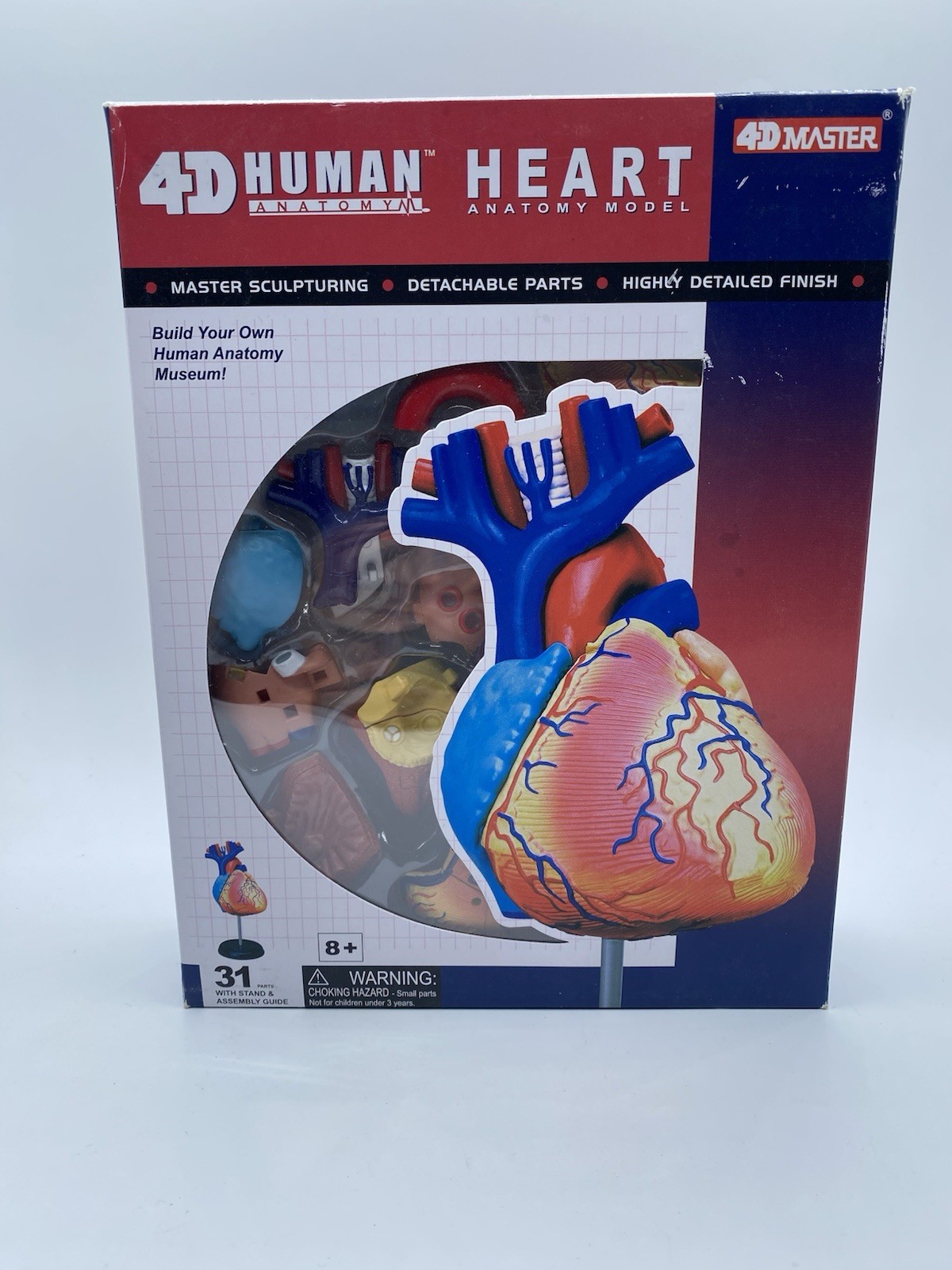 Tedco Toys 26052 4-D Anatomy Heart Model
