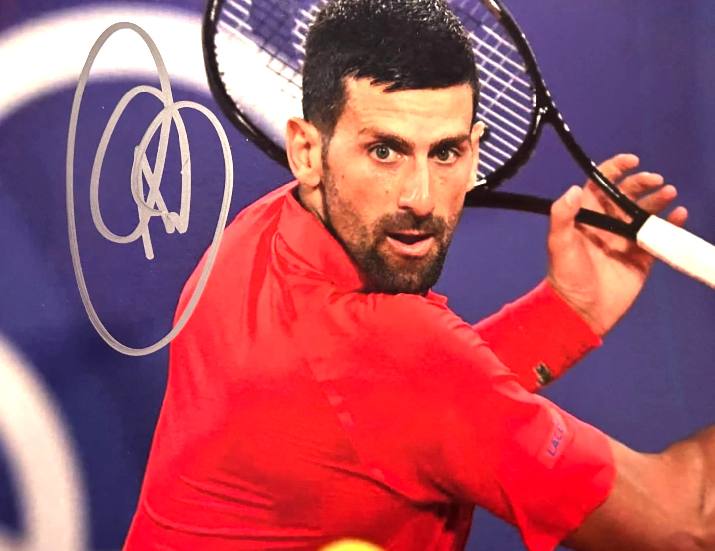 Novak Djokovic Signed Autograph 8x10\