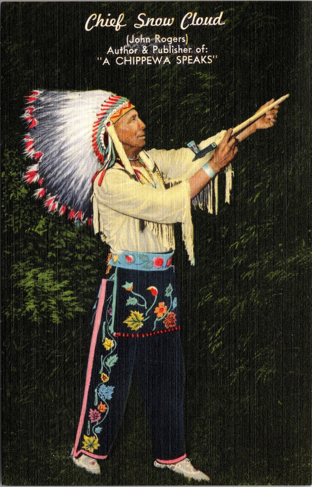Post Card - Chief Snow Cloud