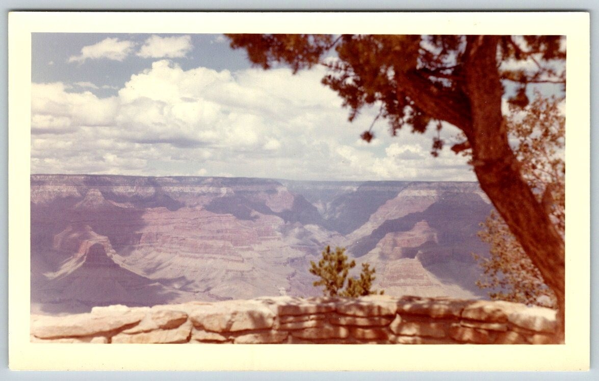 Vintage Photo Grand Canyon Arizona 1960\'s Found Art DST100 B