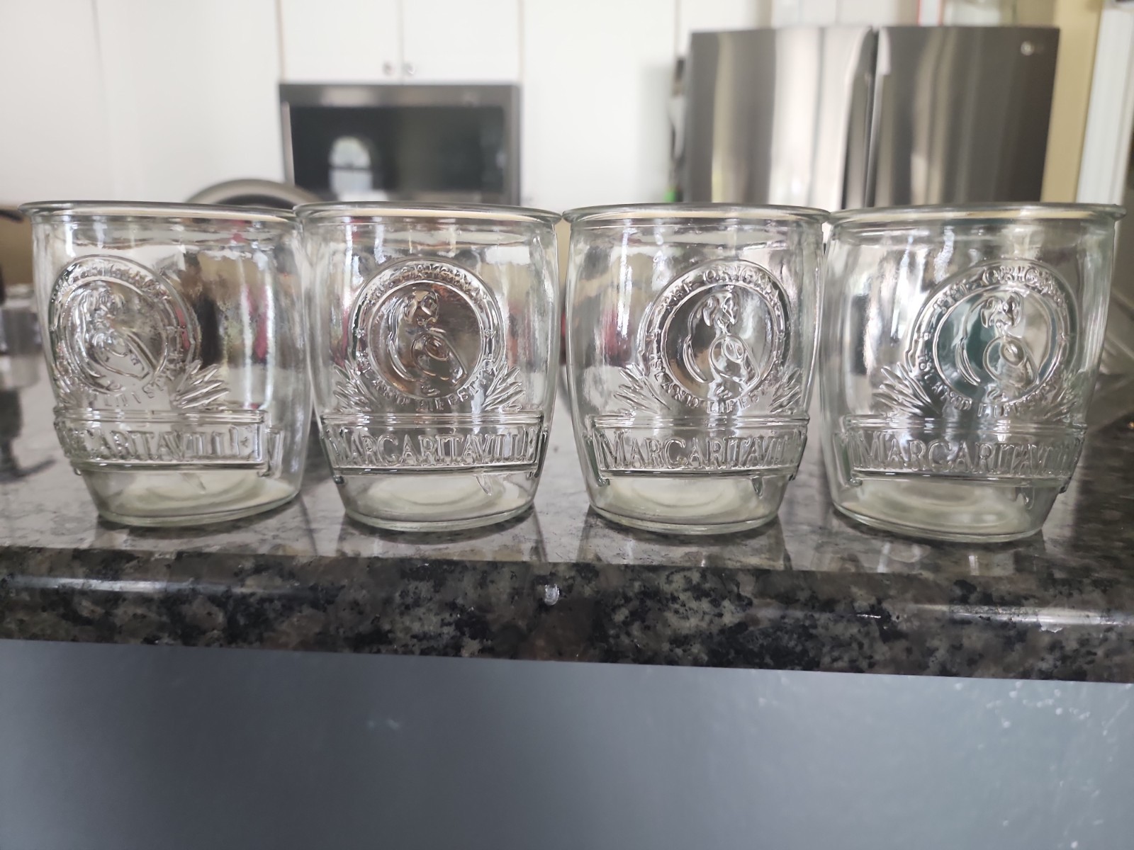 Set of 4 Jimmy Buffet Margaritaville Parrot Head  Stemless Glasses 4