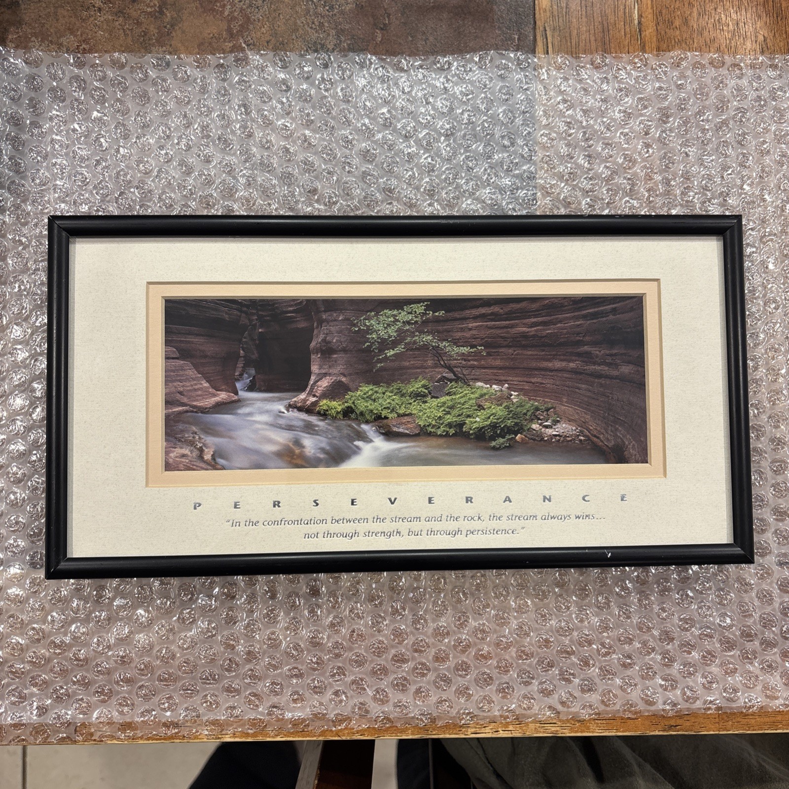 Redbud Tree, Grand Canyon National Park, AZ Framed 12”x6.25”
