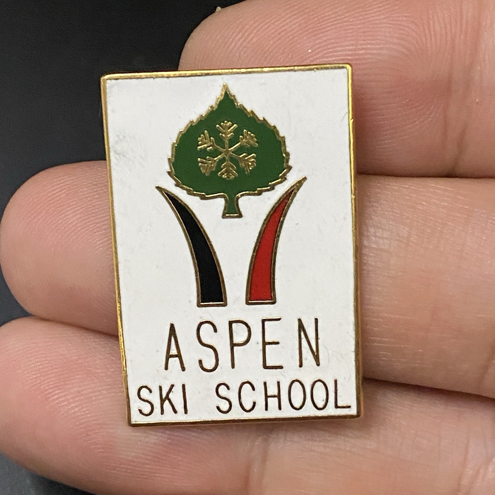 Vtg Aspen Ski School Lapel Pin Souvenir