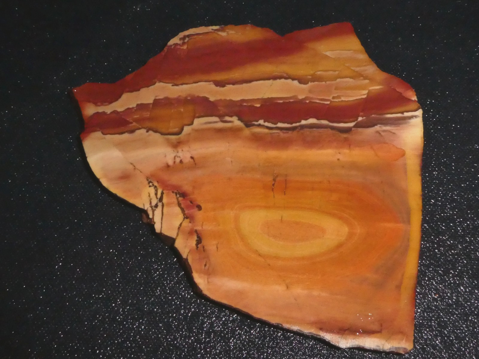 Owyhee Dendritic Jasper slab- 5 1/4\