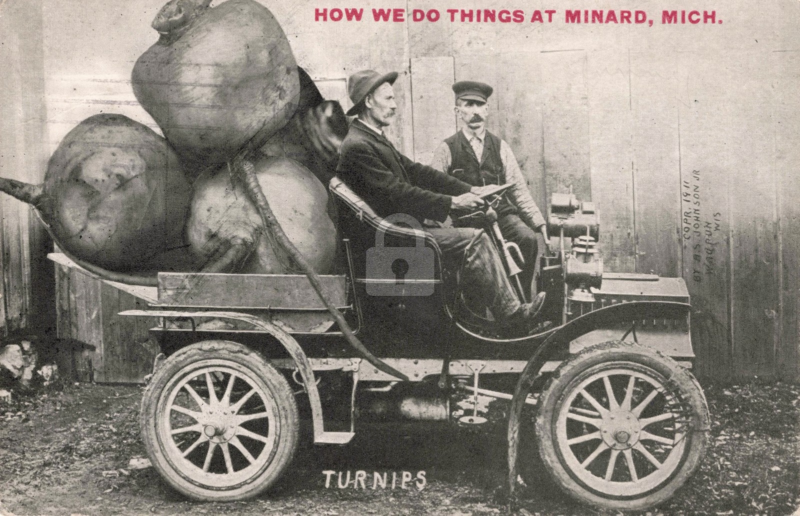 How We Do Things at Minard - Turnips Jackson MI 1912 RPPC Photo Postcard COPY