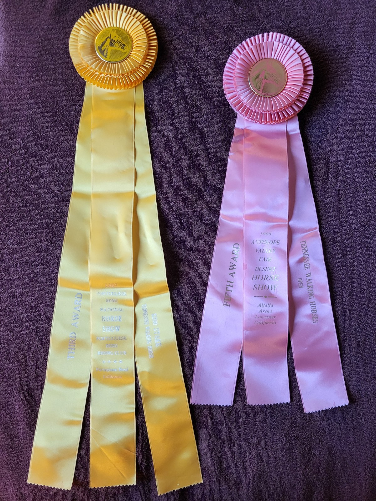 Tennessee Walking Horses Horse Show Ribbons Awards Equestrian Events 1967 & 1968 Tennessee Walking Horses Horse Show Ribbons Awards Equestrian Events 1967 & 1968