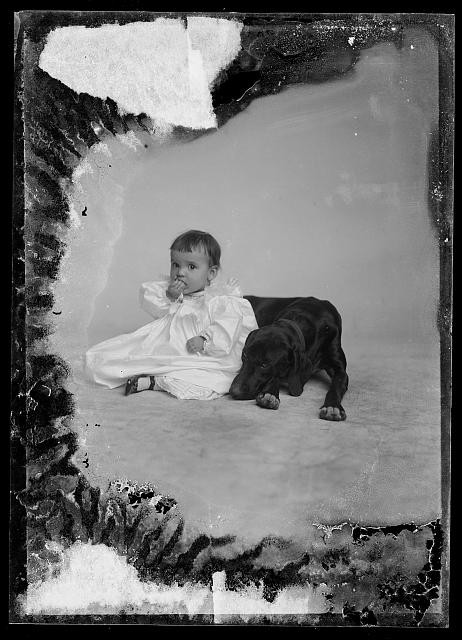 Photo:Unidentified Child with Dog Portrait Black and White Photograph