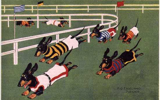 Dachshund Racing - CUSTOM MATTED Small 5 x 7 - Dog Art Print - German : NEW