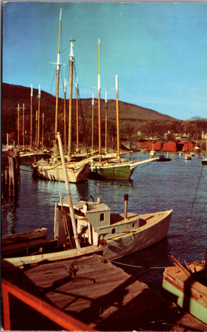 Vintage Plastichrome Postcard Windjammers Belfast Maine Harbor Mountains Sea